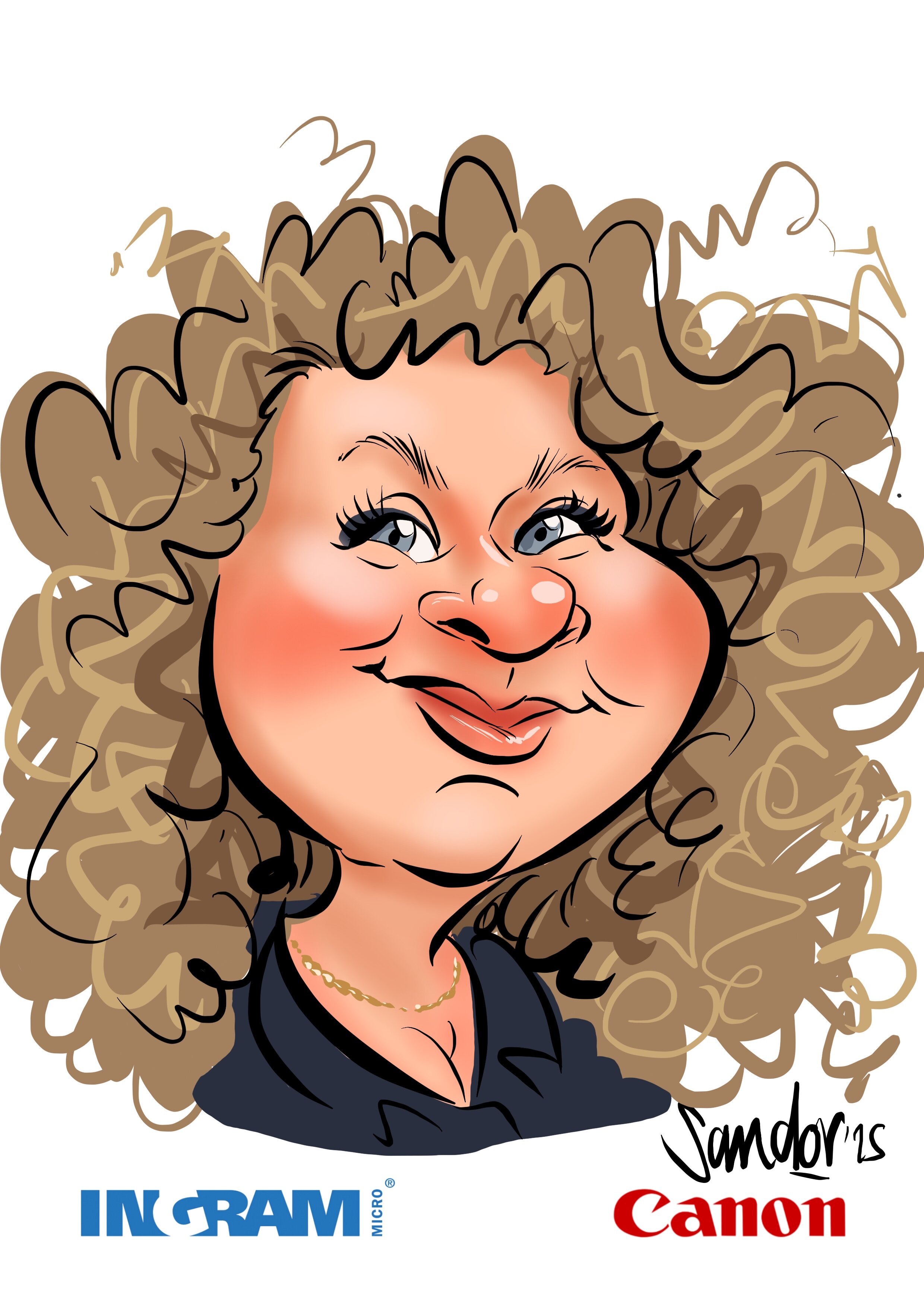 Ingram Micro - door Sandor